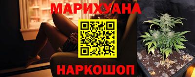 шишки Тверь