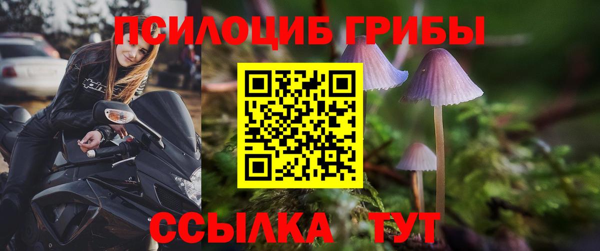 Калуга  Галлюциногенные грибы мухоморы  Вход с VPN 